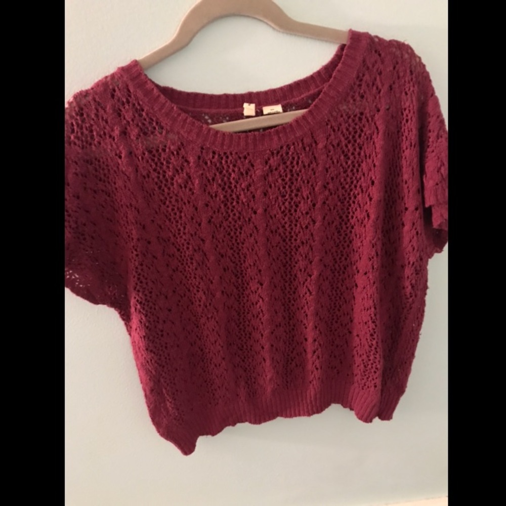 Anthropologie Moth Short Sleeve Sweater in Berry